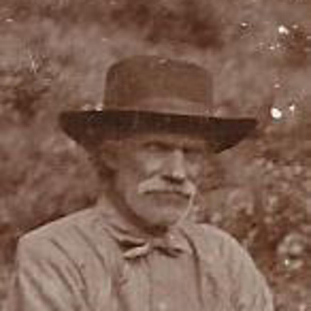 Andrew Goodwin (1818 - 1882) Profile